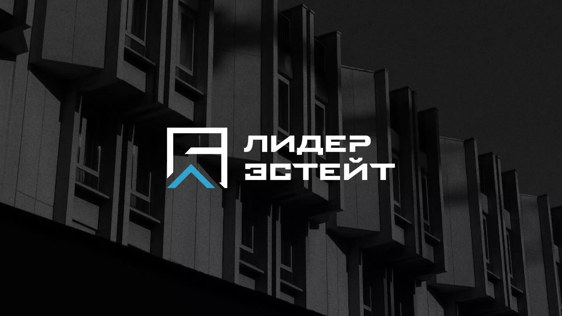 Разработка логотипа агентства недвижимости «Лидер Эстейт» в Волчанске